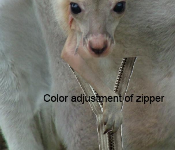 Creation of Zipper Kangaroo : Step 4